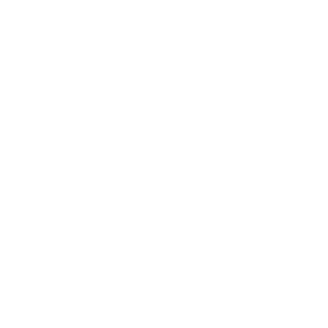 澳门大学
